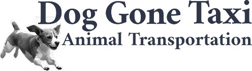 dog-gone-taxi-2.png